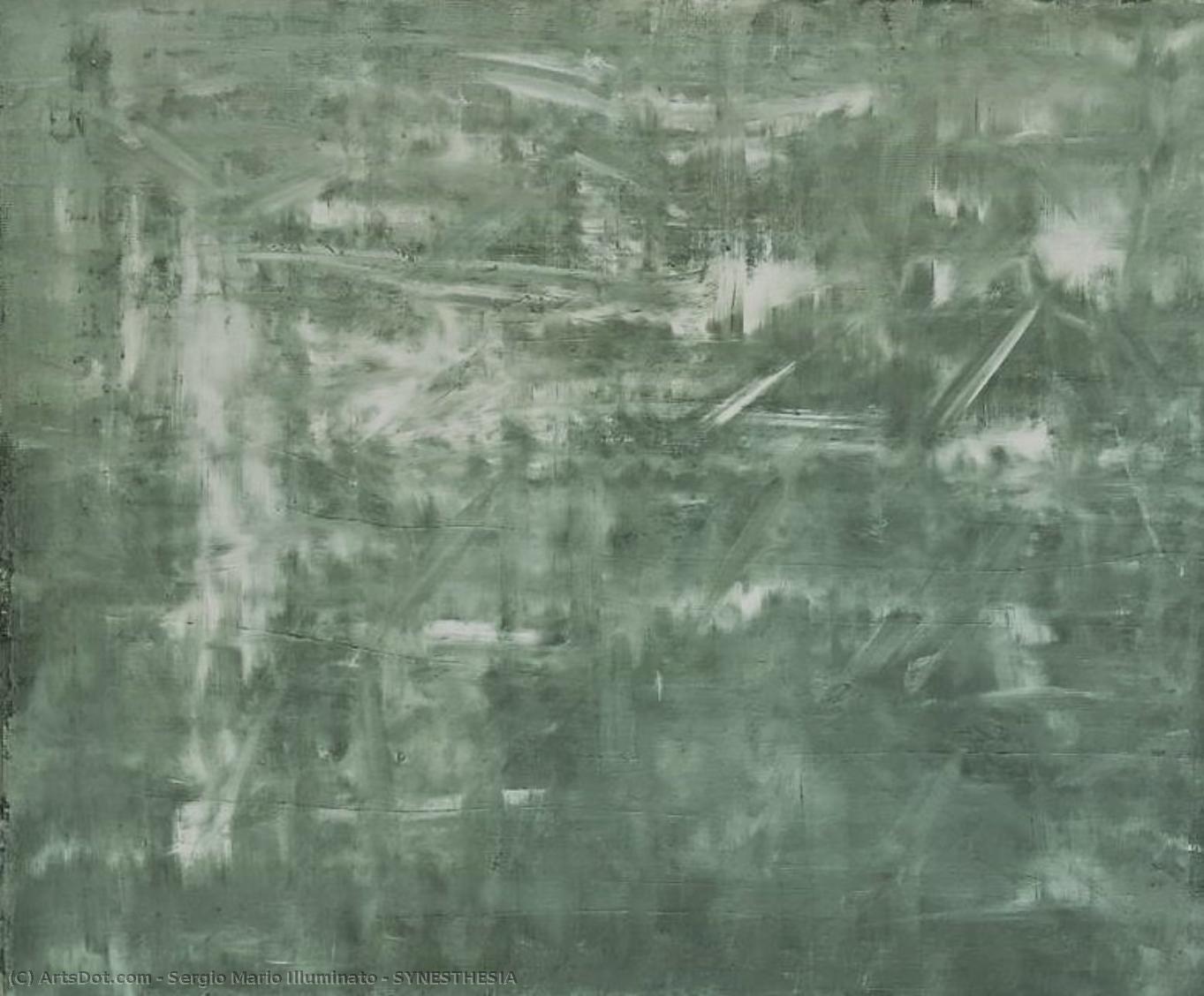Synesthesia — Sergio Mario Illuminato