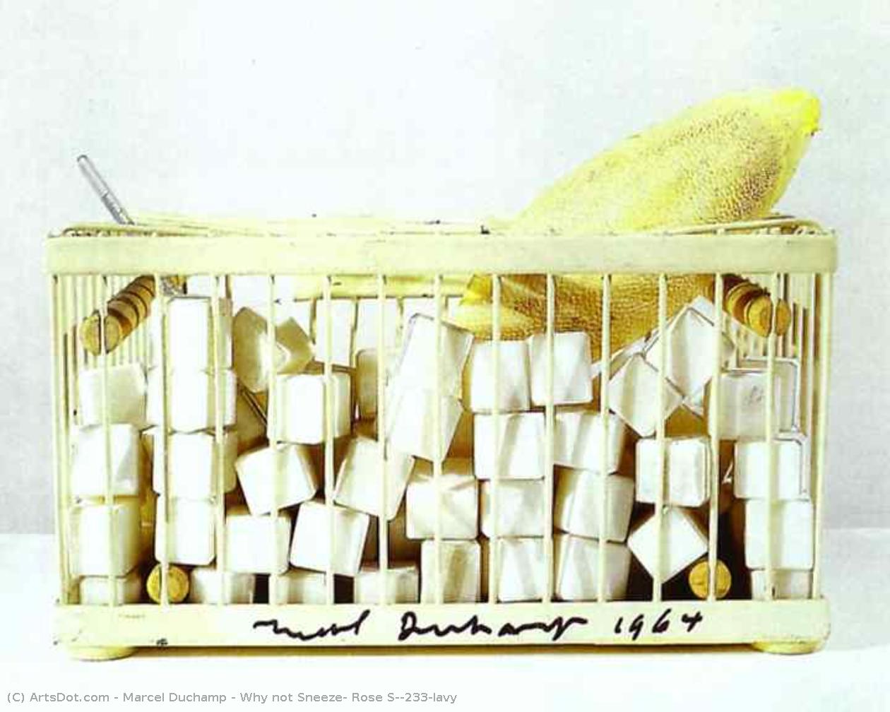 Why Not Sneeze, Rose Sélavy — Marcel Duchamp