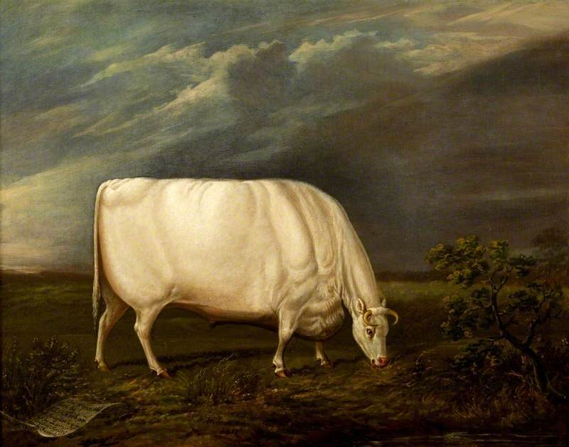 Houghton Ox — Thomas Fairbairn Wilson