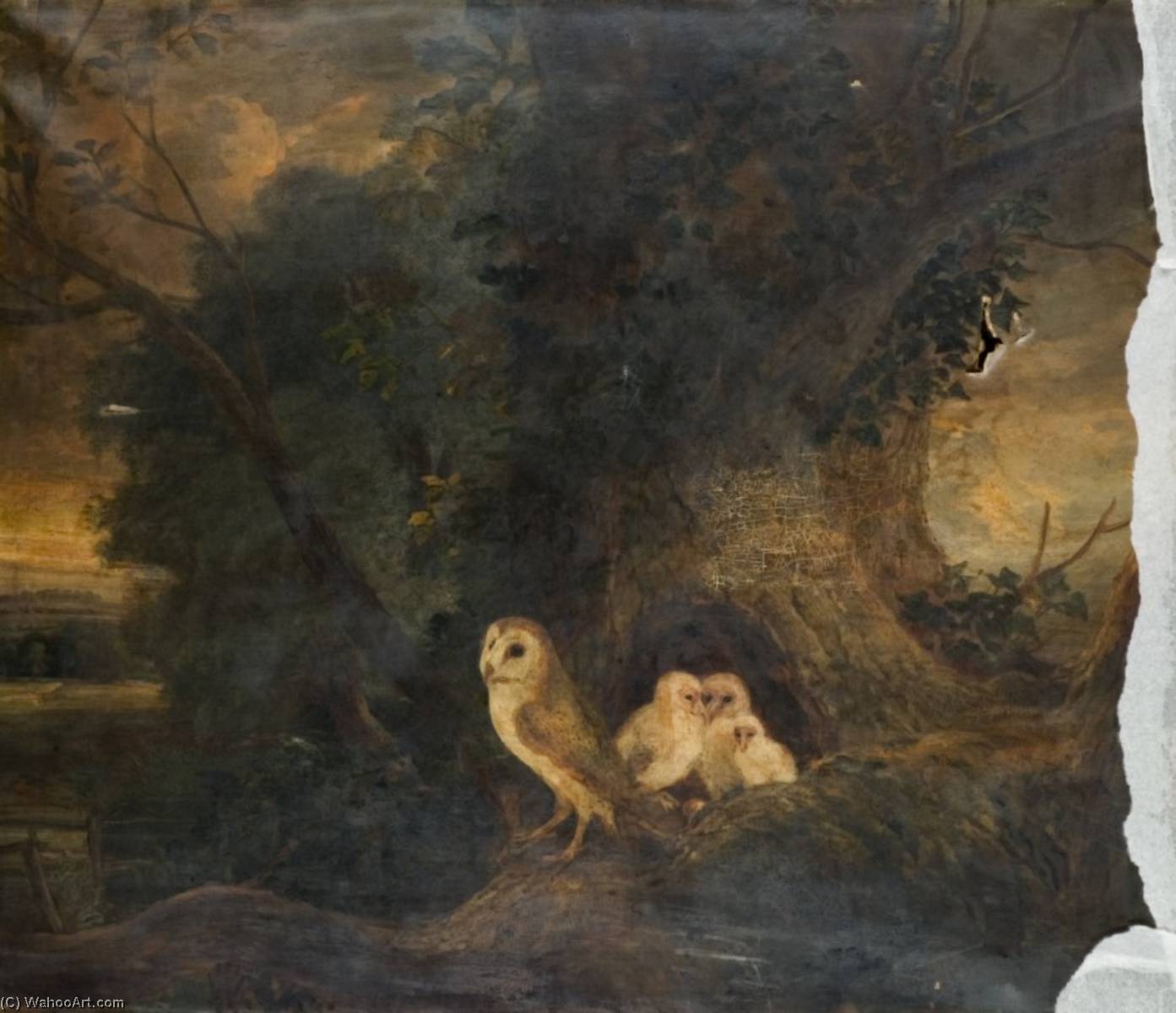 Evening Landscape With Owls — Lucas El Evangelista