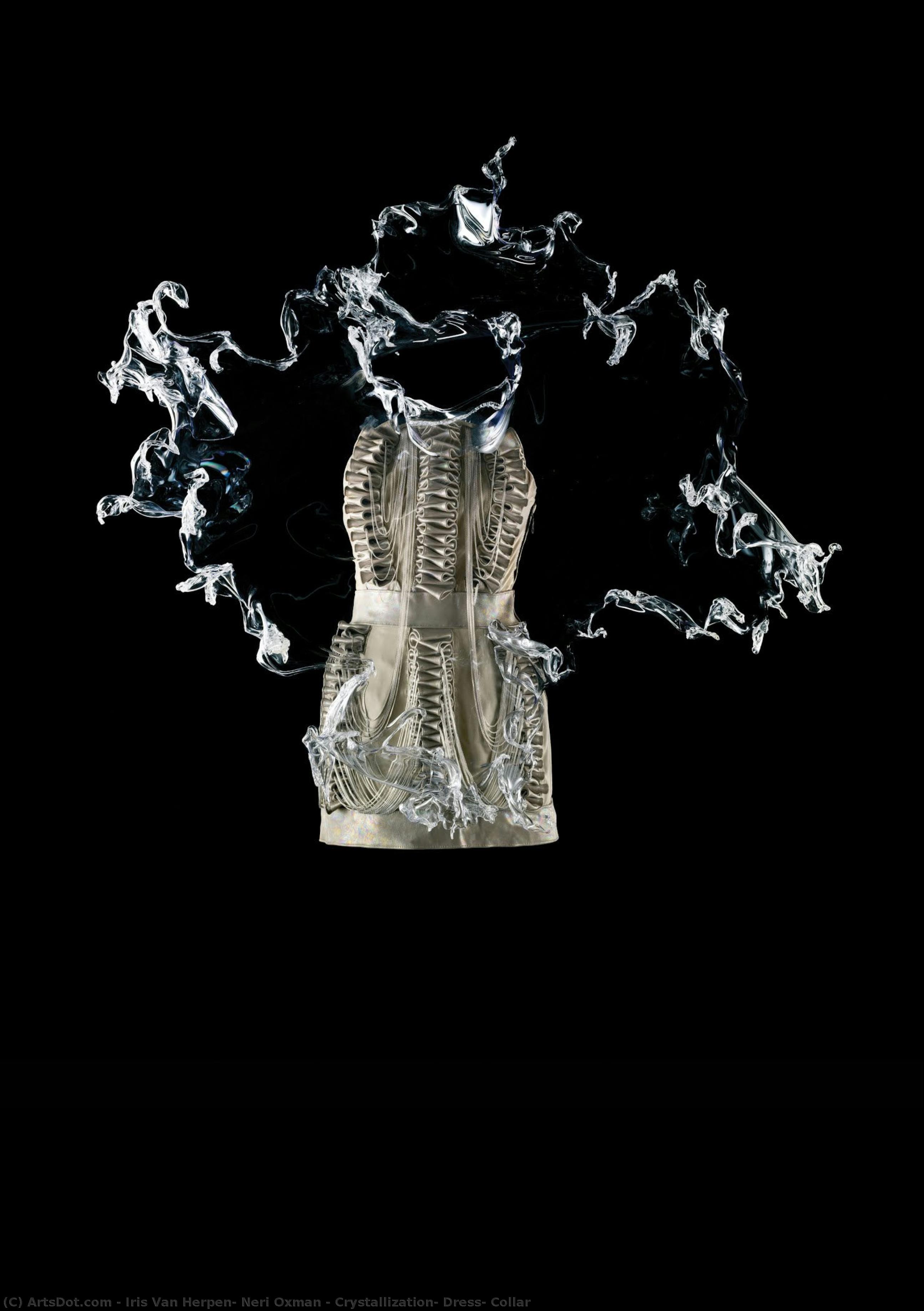 Cristallisation, Robe, Col — Iris Van Herpen, Neri Oxman
