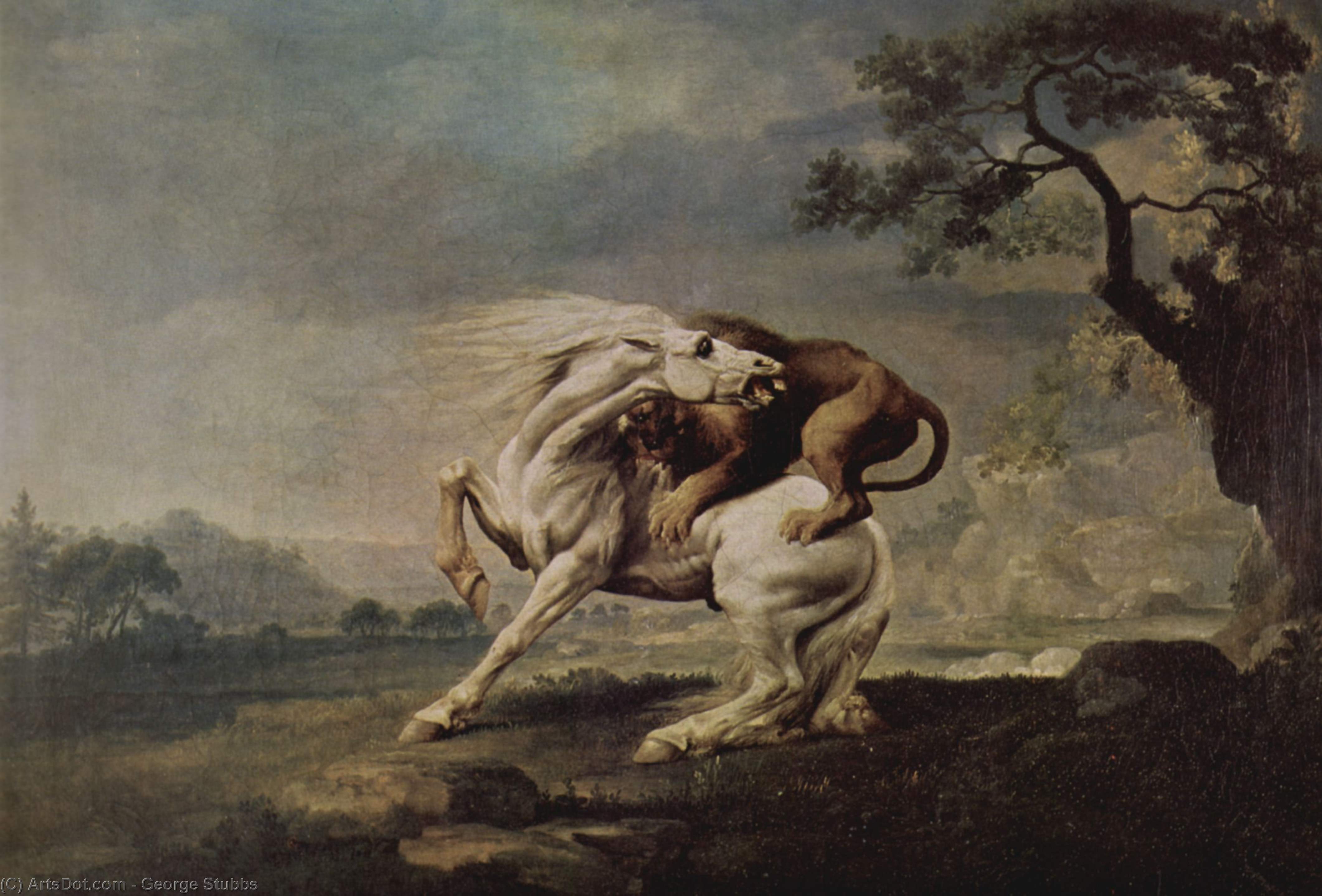 Lohikäärme Hevosen Kanssa — George Stubbs