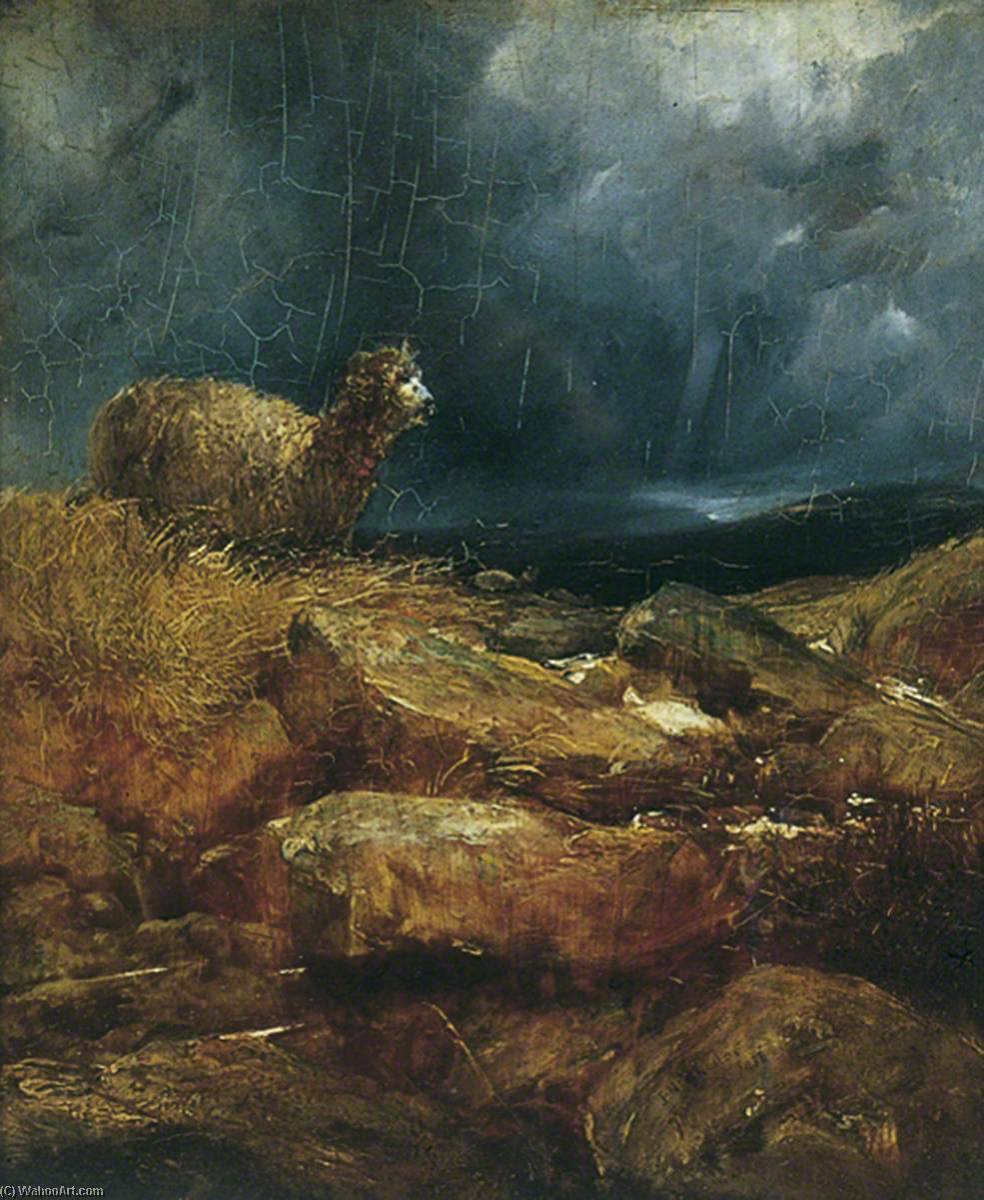 The Lost Sheep — John N Rhodes