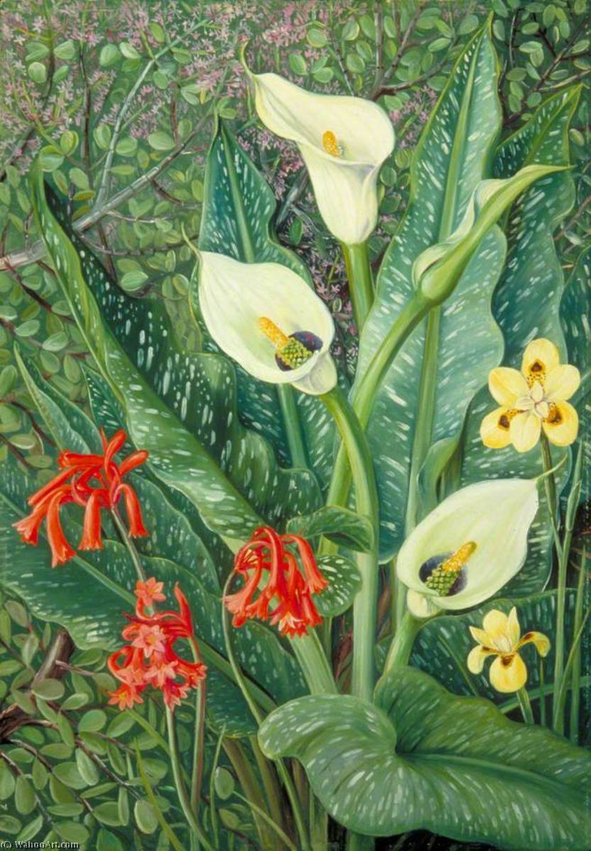 Fire Sørafrikanske Planter — Marianne North