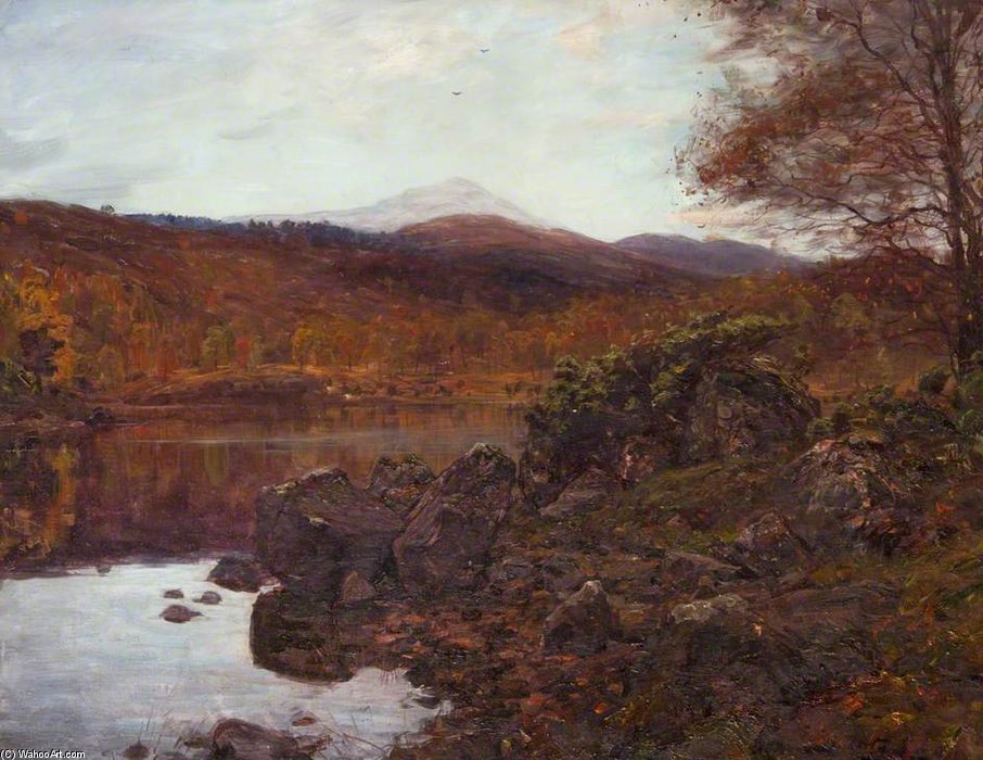 Sunshine And Shade — Alexander Brownlie Docharty