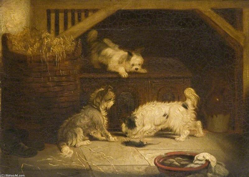 Terriers Ratting - — George Armfield (smith)