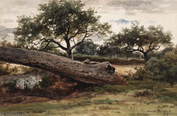 Fallen Trees — Cesar De Cock