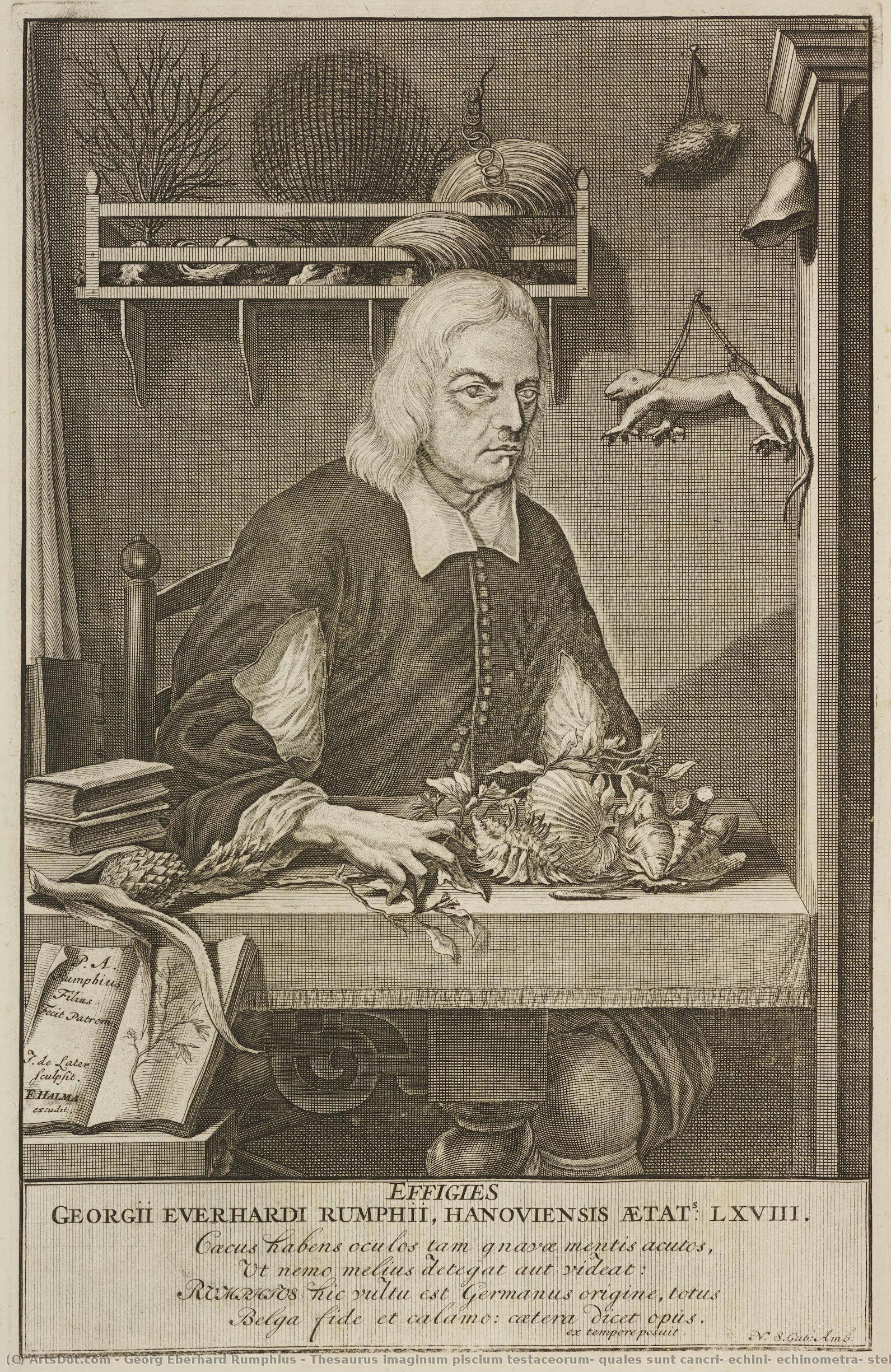 Thesaurus Imaginum Piscium Testaceorum; Quales Sunt Cancri, Echini, Echinometra, Stellae Marinae, — Georg Eberhard Rumphius