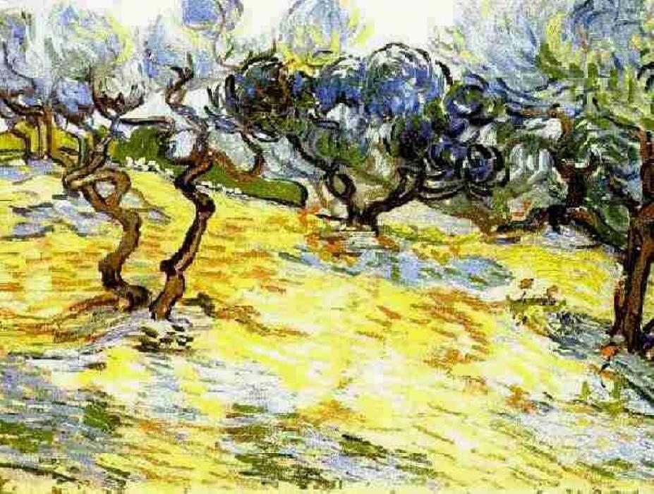 Olive Trees Bright Blue Sky — 빈센트 반 고흐