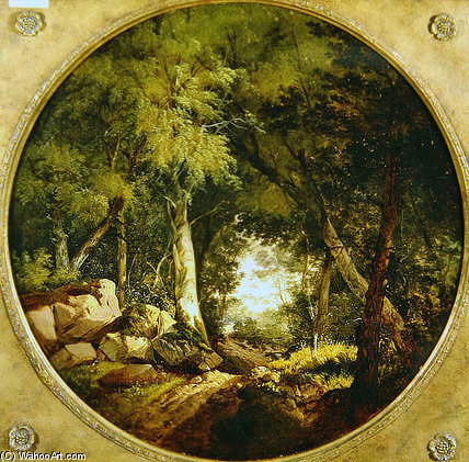 The Forest Track — John Middleton