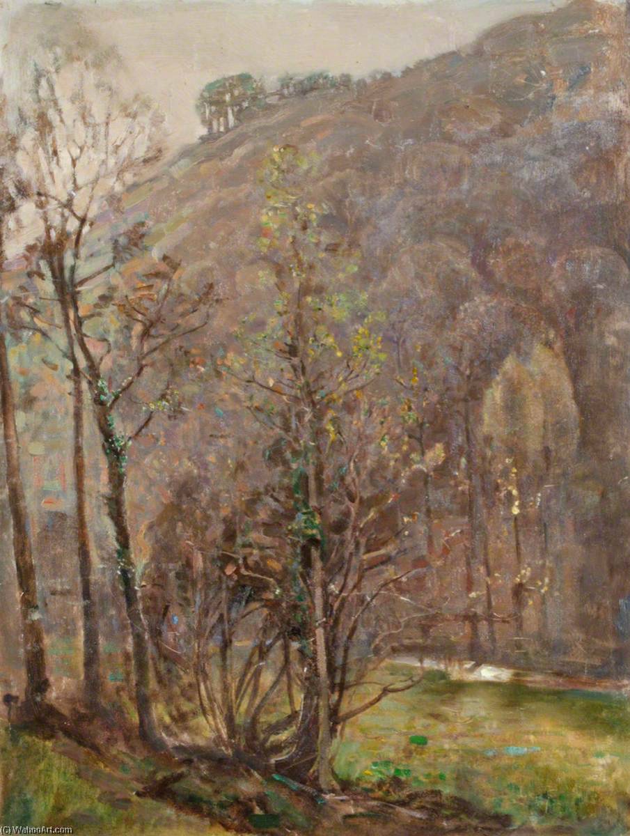 North Devon — Benjamin Haughton