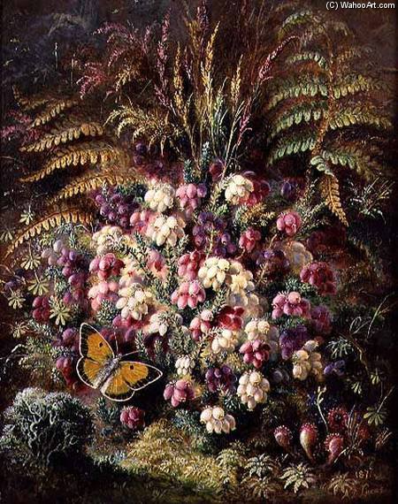 Bell Heather — Albrecht Dürer