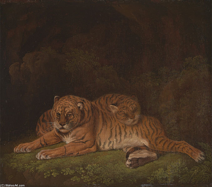 Tigers — Charles Towne