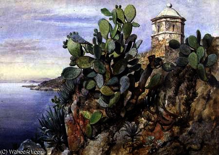Cactus Opuntia — Edward William Cooke