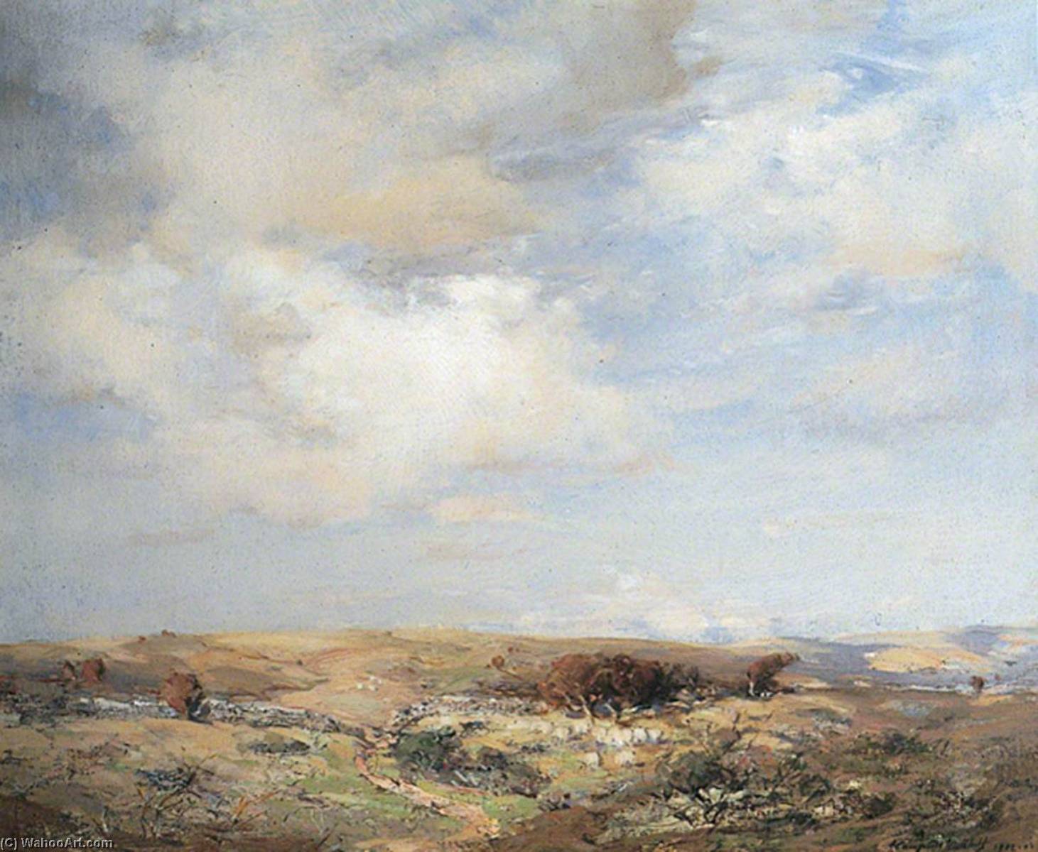Drifting Clouds — John Campbell Mitchell