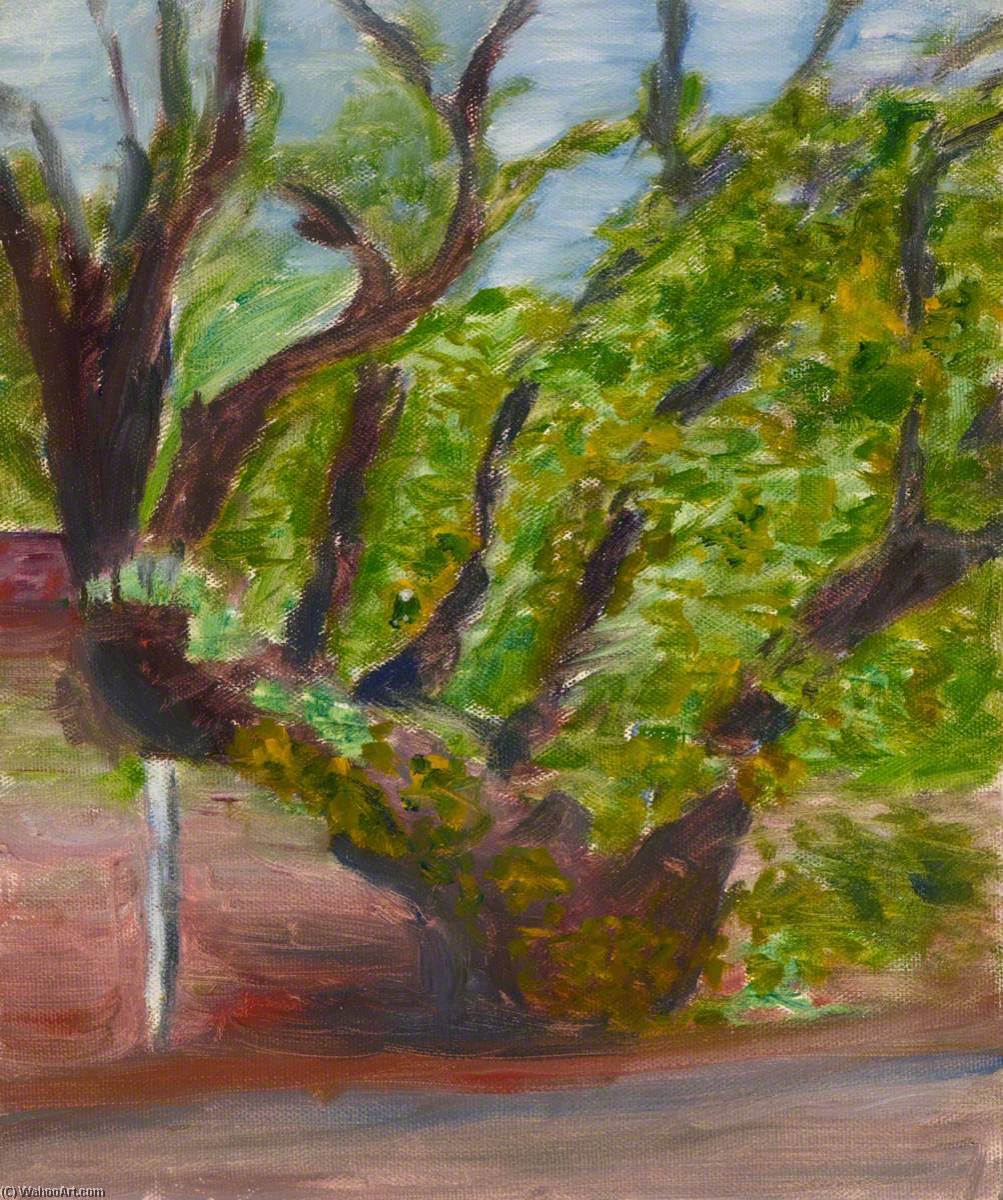 Tree — Myfanwy Baker