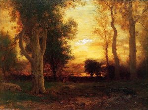 Evening in the Forest