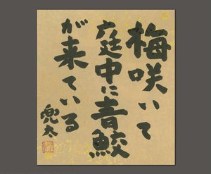 Plum In Bloom — Kaneko Tohta