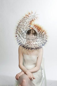Untitled (DAQABN)