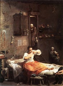 Buscadora de pulgas