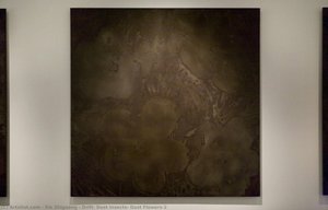 Drift: Dust Insects, Dust Flowers-2