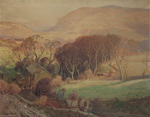 Frosty Morning in a Manx Glen