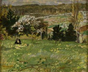 Woman Picking Flowers - Femme cueillette de fleurs
