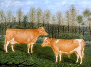 Guernsey Cattle, 'Unity' and 'Souvenir'