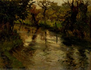 woodland scene with a river