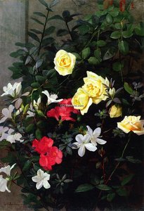 Roses and Azaleas