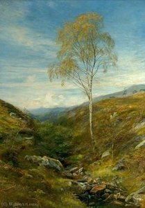 The Fairy of the Glen