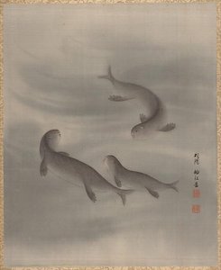 Otters Swimming