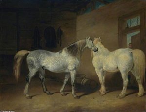 Draught Horses
