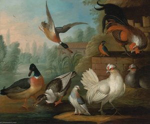 Still Life With Cockerels, Ducks, A Kingfisher And A Pigeon In A River Landscape — Marmaduke Cradock