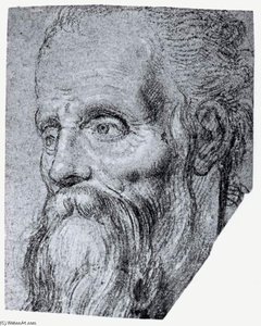 Head of an Old Bearded Man