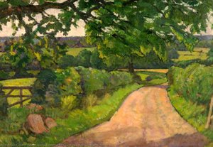 Lane to Brockton, Staffordshire
