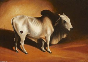 A Brahminy Bull — George Chinnery