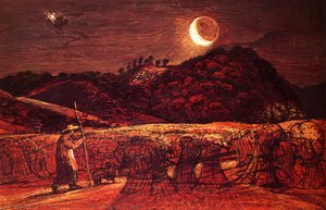 Cornfield by moonlight