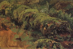 Rotten Wood, Covered With Moss — Ivan Ivanovich Shishkin