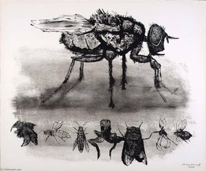 (A Bestiary, portfolio) Fly and Smaller Insects
