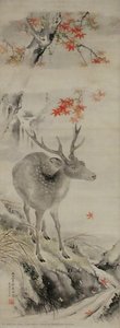 Deer by Mountain Stream