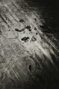 Bloodstains, Paris — Nozolino, Paulo