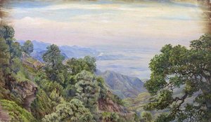 Doon Depuis Mussoorie, Uttar Pradesh, Inde — Marianne North