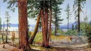 Lago Tahoe, California — Marianne North