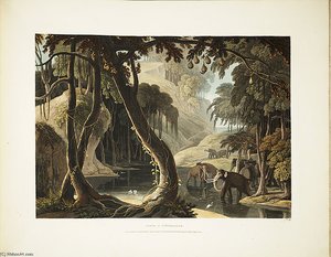 A Scene In Sitsikamma