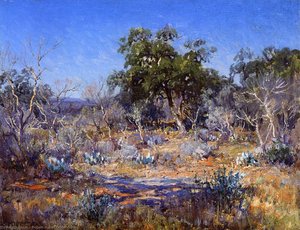A January Day in the Brush Country