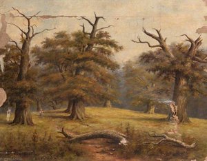 Cadzow Forest