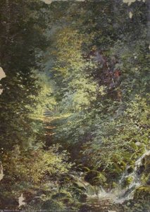 The Brook in the Wood