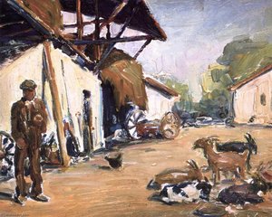 Farmyard Barnyard