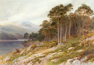 Highland Scene